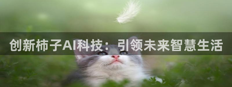 创新柿子AI科技：引领未来智慧生活