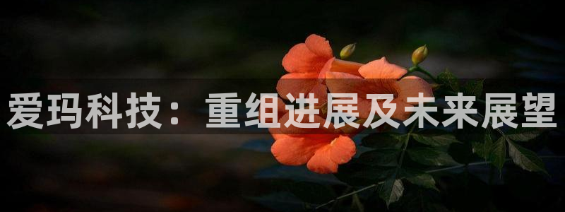 爱玛科技：重组进展及未来展望
