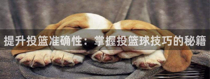 提升投篮准确性：掌握投篮球技巧的秘籍