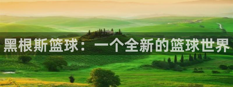 黑根斯篮球：一个全新的篮球世界