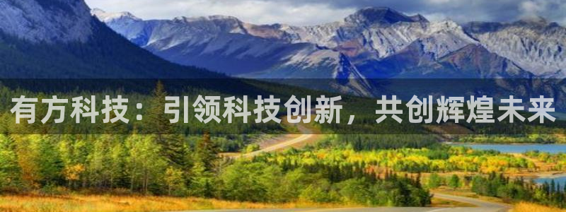 有方科技：引领科技创新，共创辉煌未来