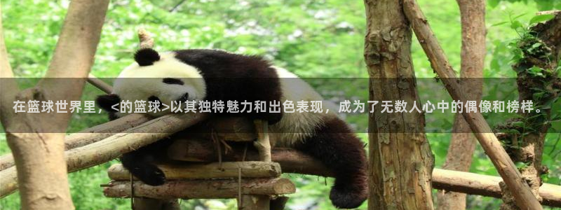 在篮球世界里，<的篮球>以其独特魅力和出色表现，成为了无数人心中的偶像和榜样。