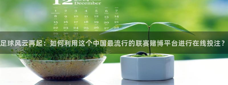 足球风云再起：如何利用这个中国最流行的联赛赌博平台进行在线投注？