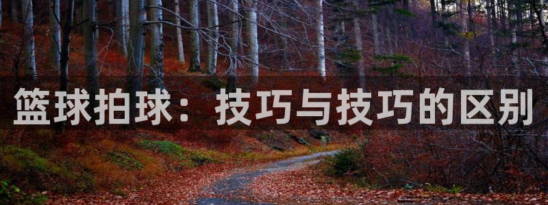 篮球拍球：技巧与技巧的区别