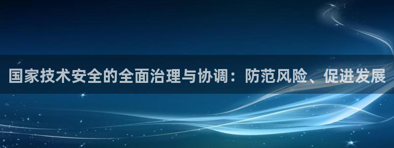 国家技术安全的全面治理与协调：防范风险、促进发展