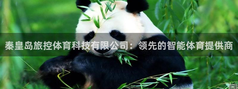 秦皇岛旅控体育科技有限公司：领先的智能体育提供商