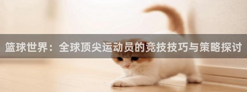 篮球世界：全球顶尖运动员的竞技技巧与策略探讨