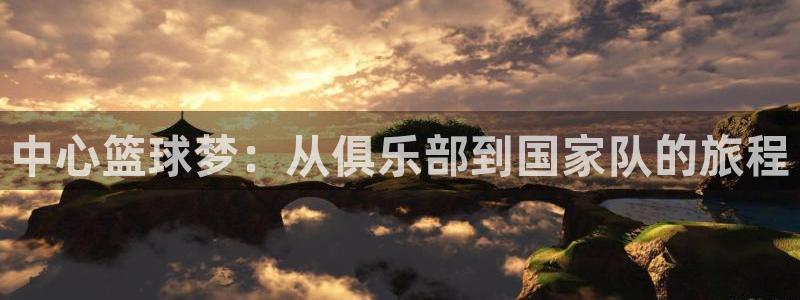 中心篮球梦：从俱乐部到国家队的旅程