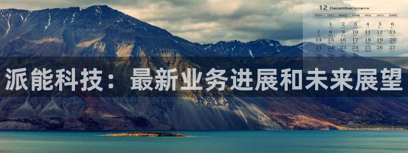 派能科技：最新业务进展和未来展望