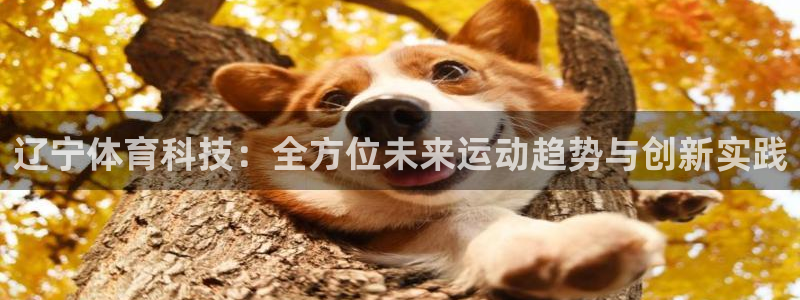 辽宁体育科技：全方位未来运动趋势与创新实践