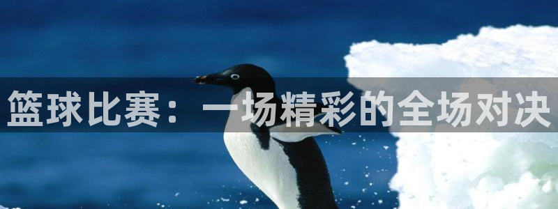 篮球比赛：一场精彩的全场对决