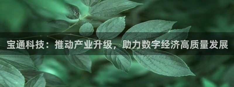 宝通科技：推动产业升级，助力数字经济高质量发展