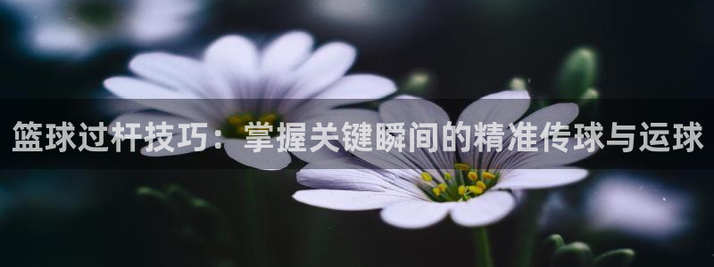 篮球过杆技巧：掌握关键瞬间的精准传球与运球