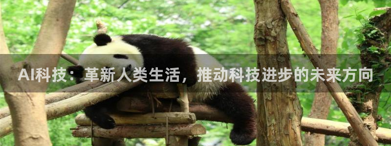 AI科技：革新人类生活，推动科技进步的未来方向