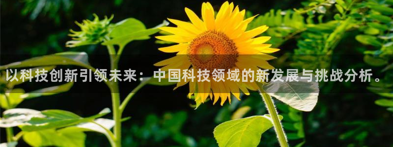 以科技创新引领未来：中国科技领域的新发展与挑战分析。