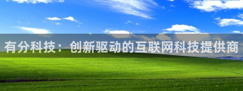 有分科技：创新驱动的互联网科技提供商